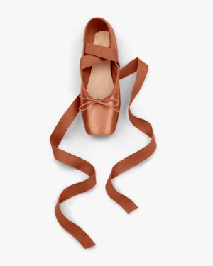 Brown Repetto Alicia Kids' Pointe Shoes | 78239MLUA