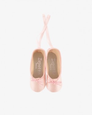 Pink Repetto Lucky Charms Accessories Ballet Flats | 19263SWGV