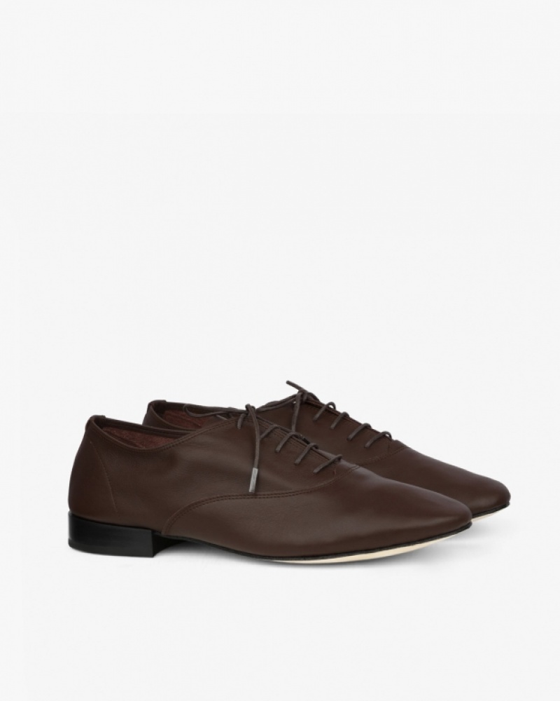 Brown Repetto Zizi Men's Oxford Shoes | 30521EPGI